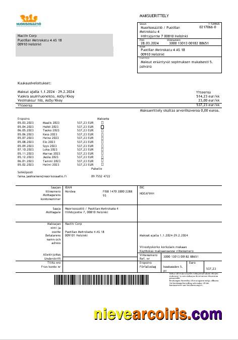 Finland Nuorisosäätiö Youth Foundation business bill 1